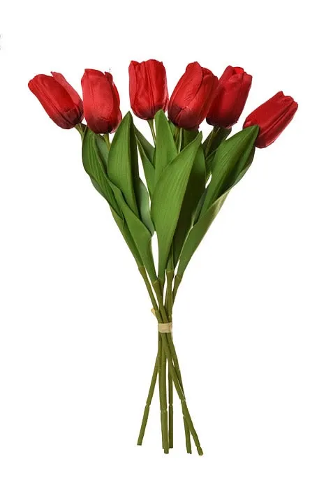 26.webp