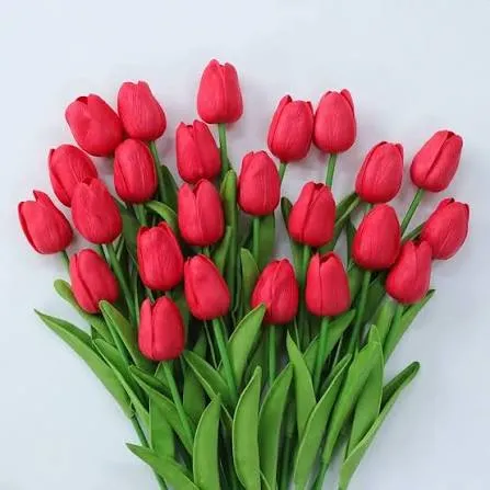 images (2).webp