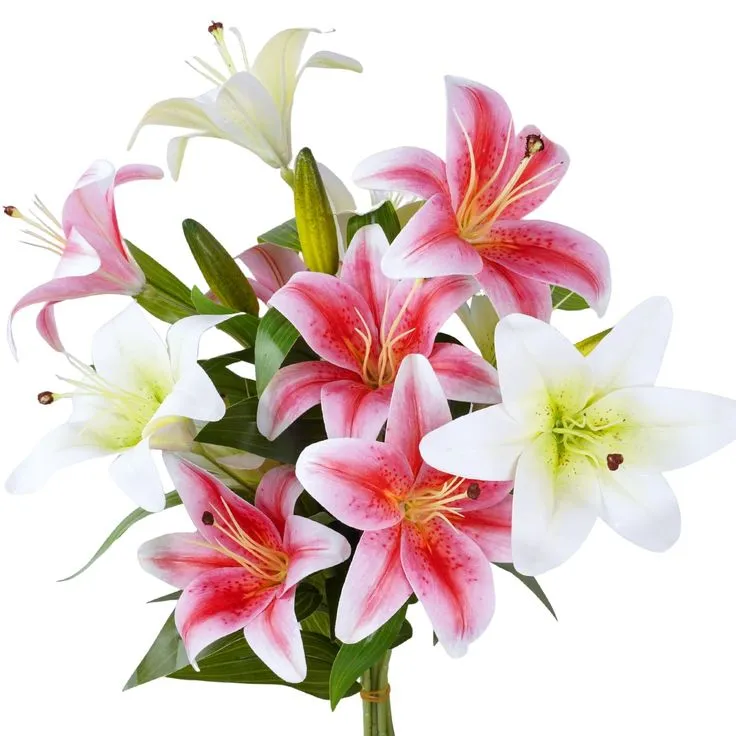 746612444516051540.webp