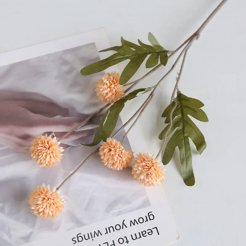 1688_image_share_f62c2e6215a3dba382c2a6787c42e68d.webp