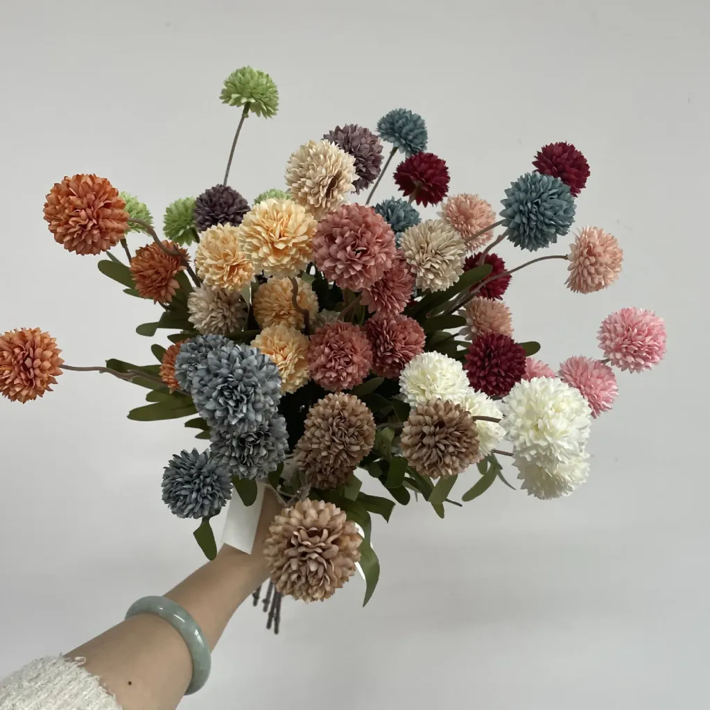 Ubax chrysanthemum