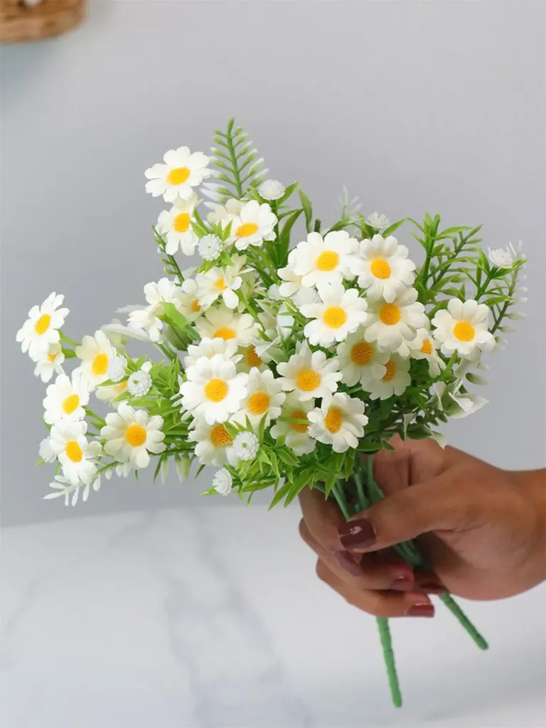 Daisies / gabaldaye yar