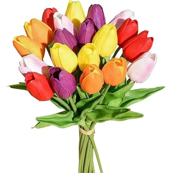 Lale Flowers , different colors