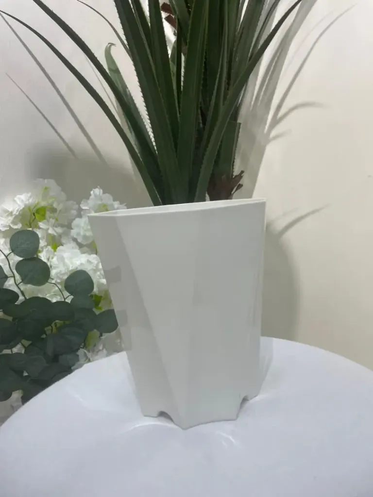 weelka gedka lagu bero (white, Dhaxe)